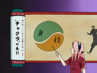 Naruto Complete Collection/Naruto/Naruto - 010 - The Forest Of Chakra   [DarkDream].mkv